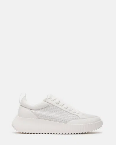 Shop Steve Madden Shock Sneaker In White