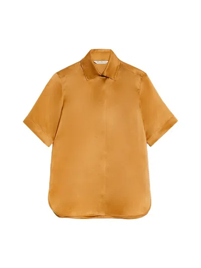 Shop Max Mara Organza Short Sleeve Shirt Clothing In Brown