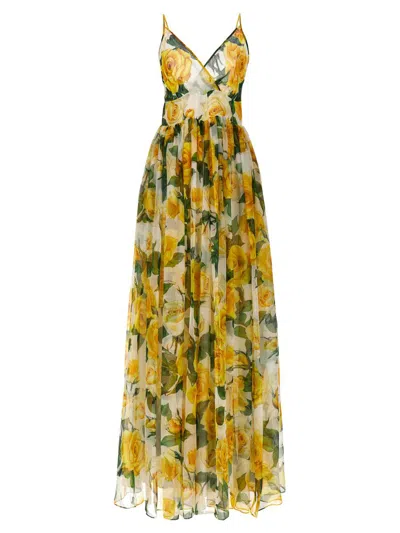 Shop Dolce & Gabbana 'rose Gialle' Dress In Yellow