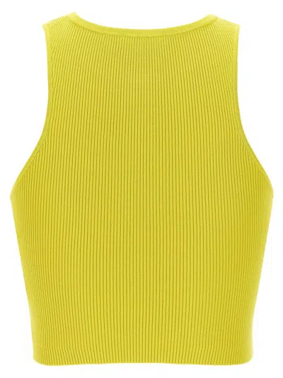 Shop Elisabetta Franchi Plate Top In Yellow
