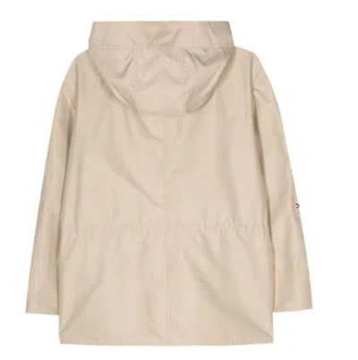 Shop Fay Jackets In Sand