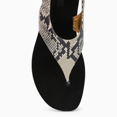 Shop Paris Texas Amalfi Thong Sandal In In Beige