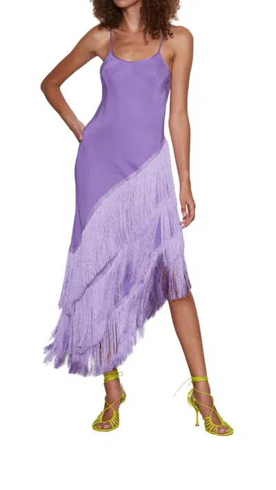 Shop Delfi Collective Cristina Dress In Purple