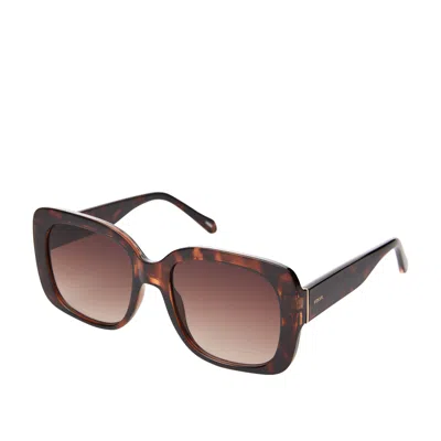 Shop Fossil Women's Butterfly Sunglasses In Brown