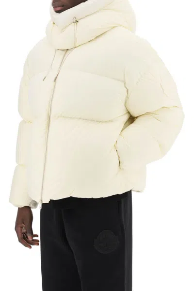 Shop Moncler Genius Moncler X Roc Nation By Jay-z Antila Short Puffer Jacket In Multicolor