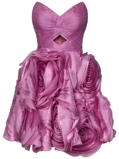 Shop Iris Serban Dress In Rosa