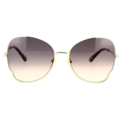 Shop Chloé Chloe Sunglasses In 001 Gold Gold Brown