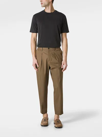 Shop Beable Pants With Elastic In Brown