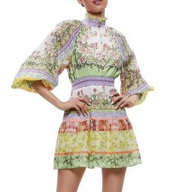 Shop Alice And Olivia Lavinia Blouson Sleeve Open Back Mini Dress In Floral Fest In Multi