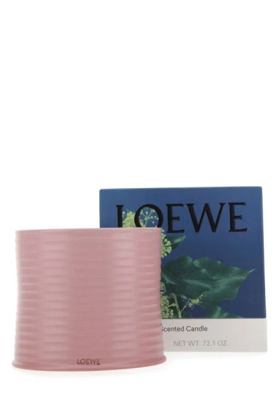 Shop Loewe Unisex Large Ivy Scented Candle In Pink
