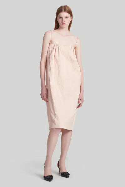 Shop Altuzarra 'holly' Dress In Apple Blossom