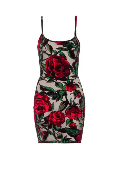 Shop Balmain Dresses In Noir/rouge/vert
