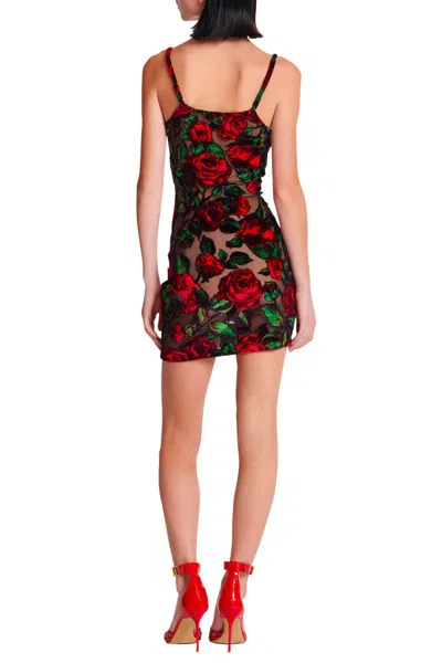 Shop Balmain Dresses In Noir/rouge/vert