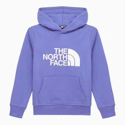 Shop The North Face Blue Cotton Hoodie With Logo