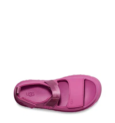 Shop Ugg Golden Glow Touch-strap Sandals In Mangosteen