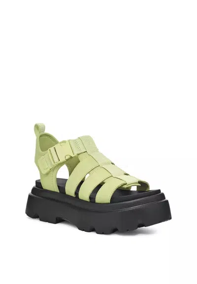 Shop Ugg Cora Leather Sandals In Caterpillar
