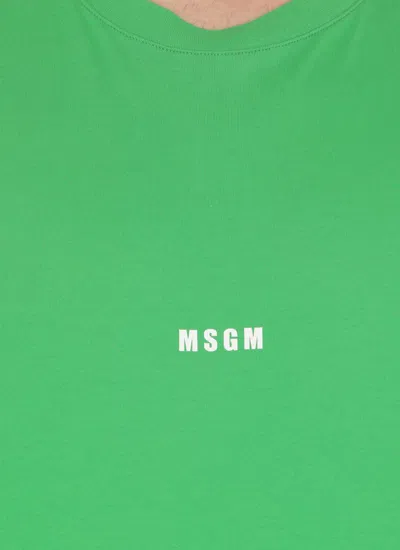 Shop Msgm T-shirts And Polos Green