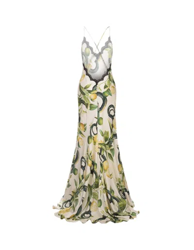 Shop Roberto Cavalli Ivory Long Petticoat Dress With Lemons Print In White