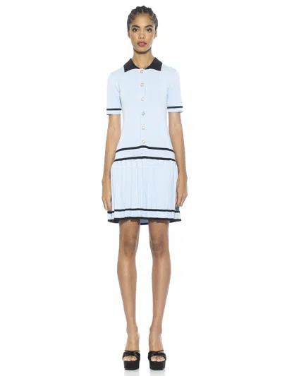 Alexia Admor Lucinda Knit Dress In Multi