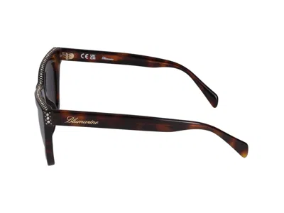 Shop Blumarine Sunglasses In Dark Havana Glossy