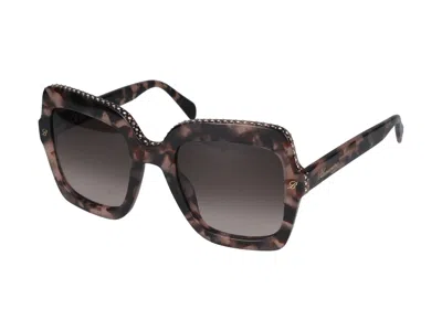 Shop Blumarine Sunglasses In Havana Brown/pink
