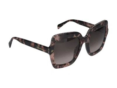 Shop Blumarine Sunglasses In Havana Brown/pink
