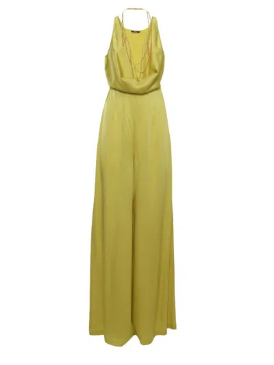 Shop Elisabetta Franchi Long Dress In Yellow