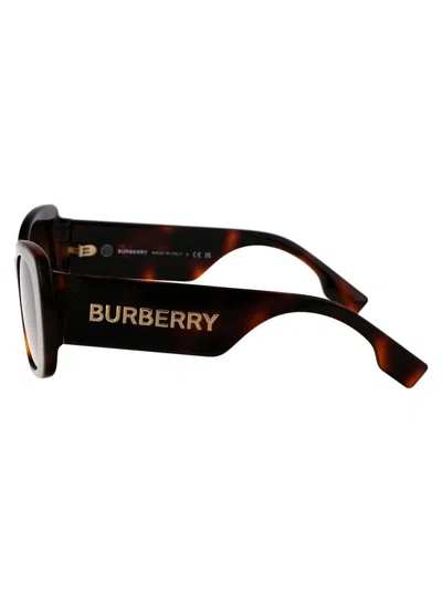 Shop Burberry Sunglasses In 331613 Light Havana