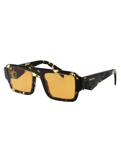 Shop Prada Sunglasses In 16o10c Black Malt Tortoise