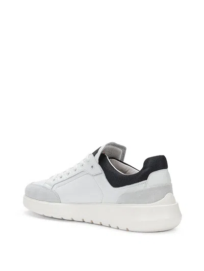 Shop Peuterey Zamami Leather Sneakers With Logo In Blue