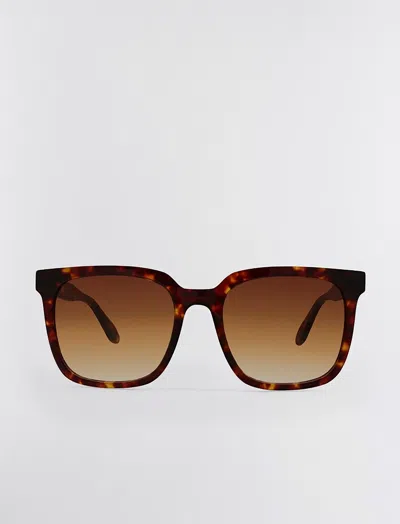 Shop Bcbgmaxazria Classic Square Sunglasses In Tort