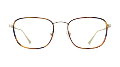 Shop Taylor Morris Eyewear Sw8 C4 Glasses