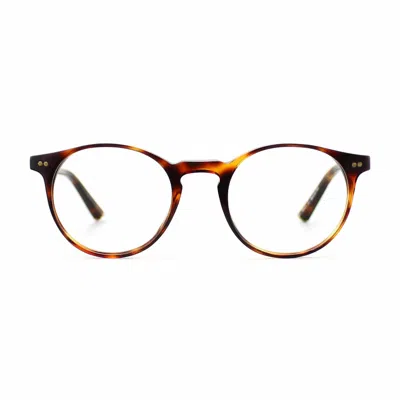 Shop Taylor Morris Eyewear Sw17 C2 Glasses
