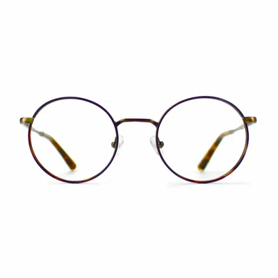 Shop Taylor Morris Eyewear Sw13 C4 Glasses