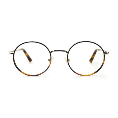 Shop Taylor Morris Eyewear Sw13 C3 Glasses