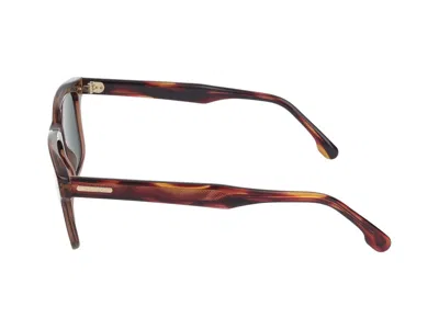 Shop Carrera Sunglasses In Brown