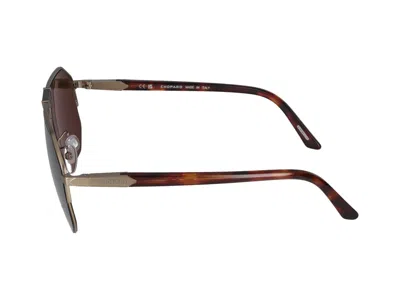 Shop Chopard Sunglasses In Gold Grey Satin Polished