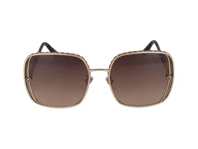 Shop Chopard Sunglasses In Rose' Gold Shiny With Bordeaux Parts