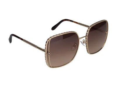 Shop Chopard Sunglasses In Rose' Gold Shiny With Bordeaux Parts