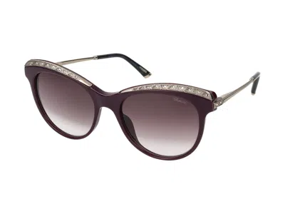 Shop Chopard Sunglasses