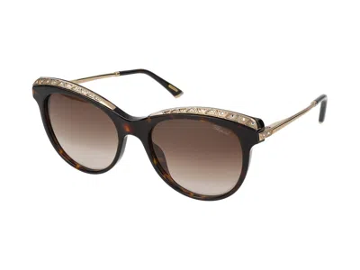 Chopard Sunglasses