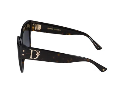 Dsquared2 Sunglasses In Havana