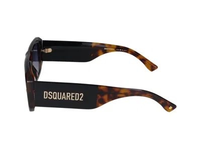 Shop Dsquared2 Sunglasses In Havana