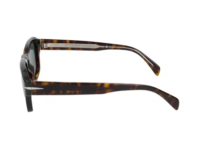 Shop Eyewear By David Beckham Sunglasses In Havana