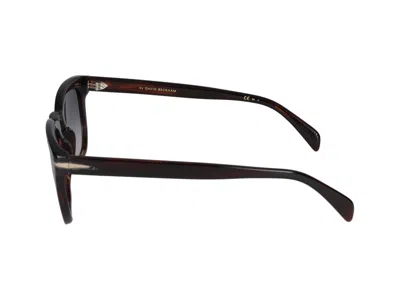 Shop Eyewear By David Beckham Sunglasses In Brown Horn