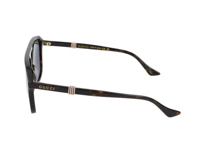 Shop Gucci Sunglasses In Havana Havana Blue