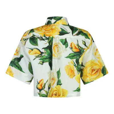 Shop Dolce & Gabbana Shirts In Rose Gialle Fdo Bco