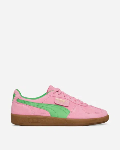 Shop Puma Palermo Special Sneakers In Pink
