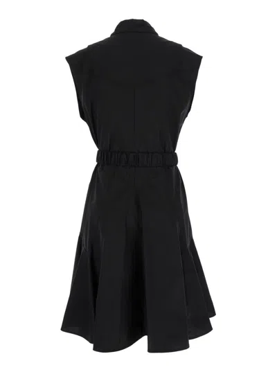 Shop Pinko Black Popeline Mini-dress With Love-bird Belt In Cotton Woman