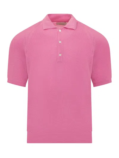Shop Laneus English Polo Shirt In Pink